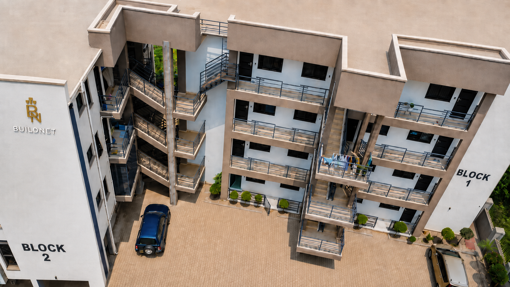Olive Homes